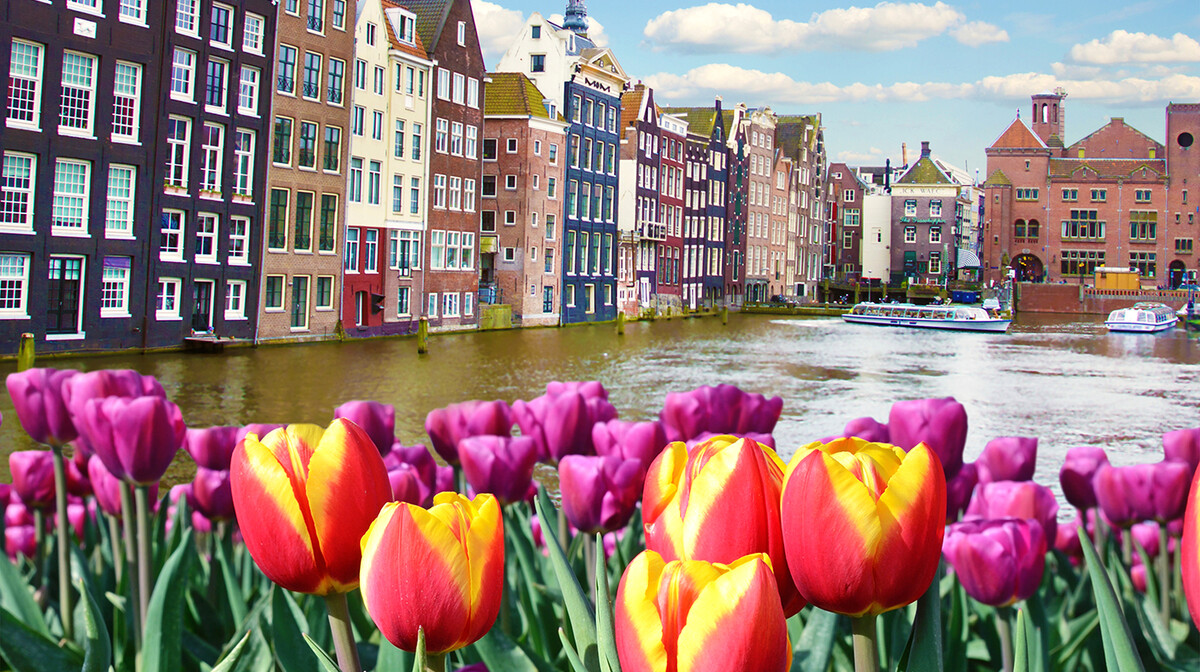 Best of Amsterdam 4 Days Tour Package
